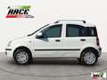 Fiat Panda 1.2 Dynamic Natural Power Mamy Bianco - thumbnail 3