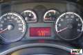 Fiat Panda 1.2 Dynamic Natural Power Mamy Bianco - thumbnail 11