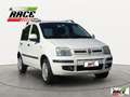Fiat Panda 1.2 Dynamic Natural Power Mamy Bianco - thumbnail 8