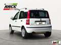 Fiat Panda 1.2 Dynamic Natural Power Mamy Bianco - thumbnail 4