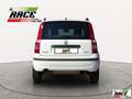 Fiat Panda 1.2 Dynamic Natural Power Mamy Bianco - thumbnail 5