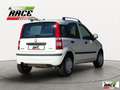 Fiat Panda 1.2 Dynamic Natural Power Mamy Bianco - thumbnail 6