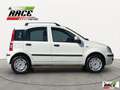 Fiat Panda 1.2 Dynamic Natural Power Mamy Bianco - thumbnail 7