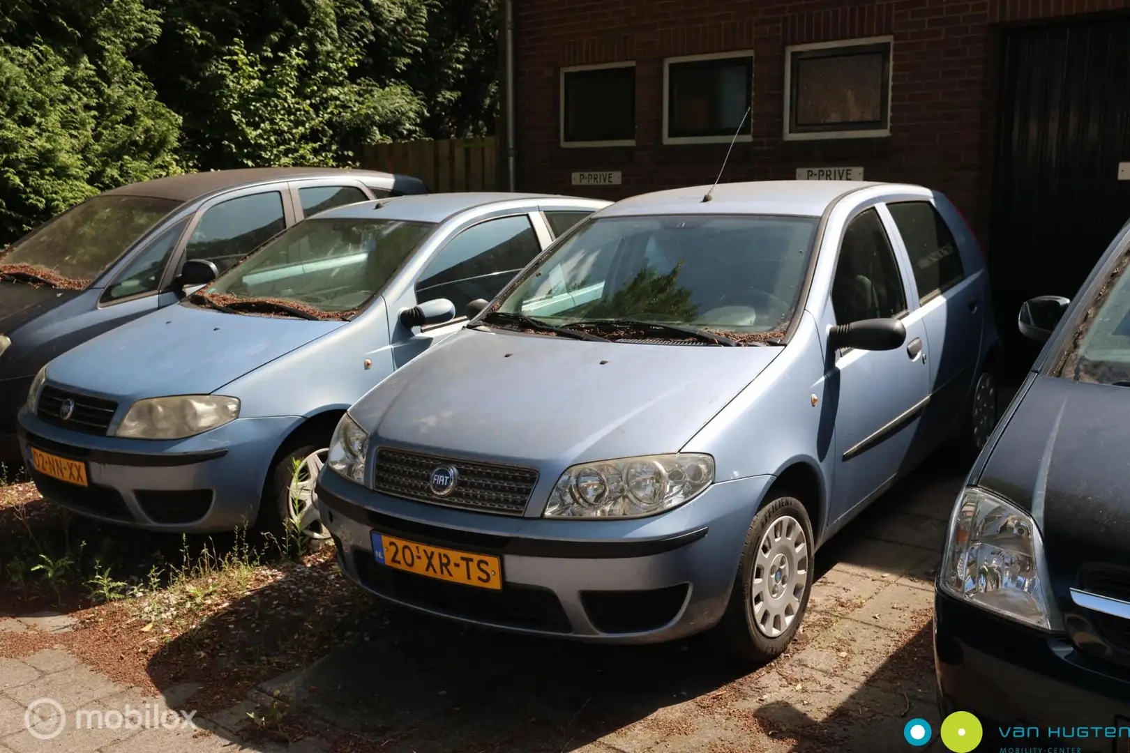 Fiat Punto 1.2 Classic Edizione Cool Blauw - 1
