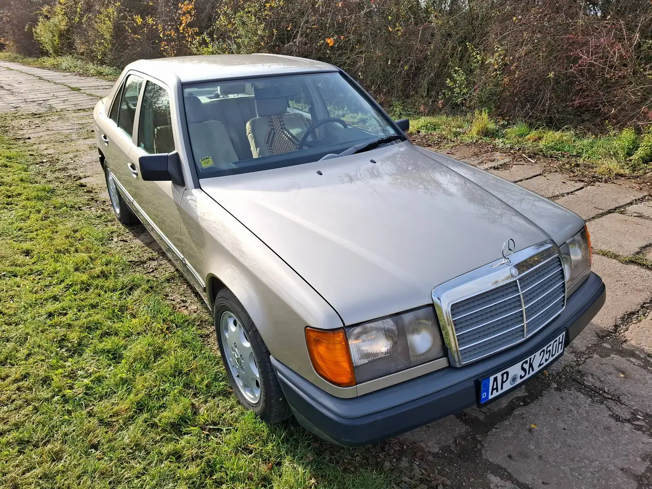 Mercedes-Benz E 250 250 D, foto 2