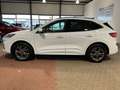 Ford Kuga ST-Line X PHEV+LED+B&O+elek.AHK+Head-UP+Navi Blanc - thumbnail 3