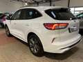 Ford Kuga ST-Line X PHEV+LED+B&O+elek.AHK+Head-UP+Navi Blanc - thumbnail 4