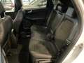Ford Kuga ST-Line X PHEV+LED+B&O+elek.AHK+Head-UP+Navi Blanc - thumbnail 10
