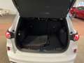 Ford Kuga ST-Line X PHEV+LED+B&O+elek.AHK+Head-UP+Navi Blanc - thumbnail 6