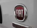 Fiat Ducato Kasten Maxi 150 Multijet NAVI R-CAM TEMP Weiß - thumbnail 8