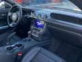 Ford Mustang 5.0 TI-VCT 338KW MACH I AUTO 2P Czarny - thumbnail 13