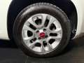 Fiat Panda 1.2 Lounge Blanco - thumbnail 9
