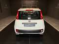 Fiat Panda 1.2 Lounge Blanco - thumbnail 6