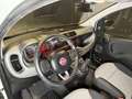 Fiat Panda 1.2 Lounge Blanco - thumbnail 10