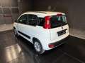 Fiat Panda 1.2 Lounge Blanco - thumbnail 7