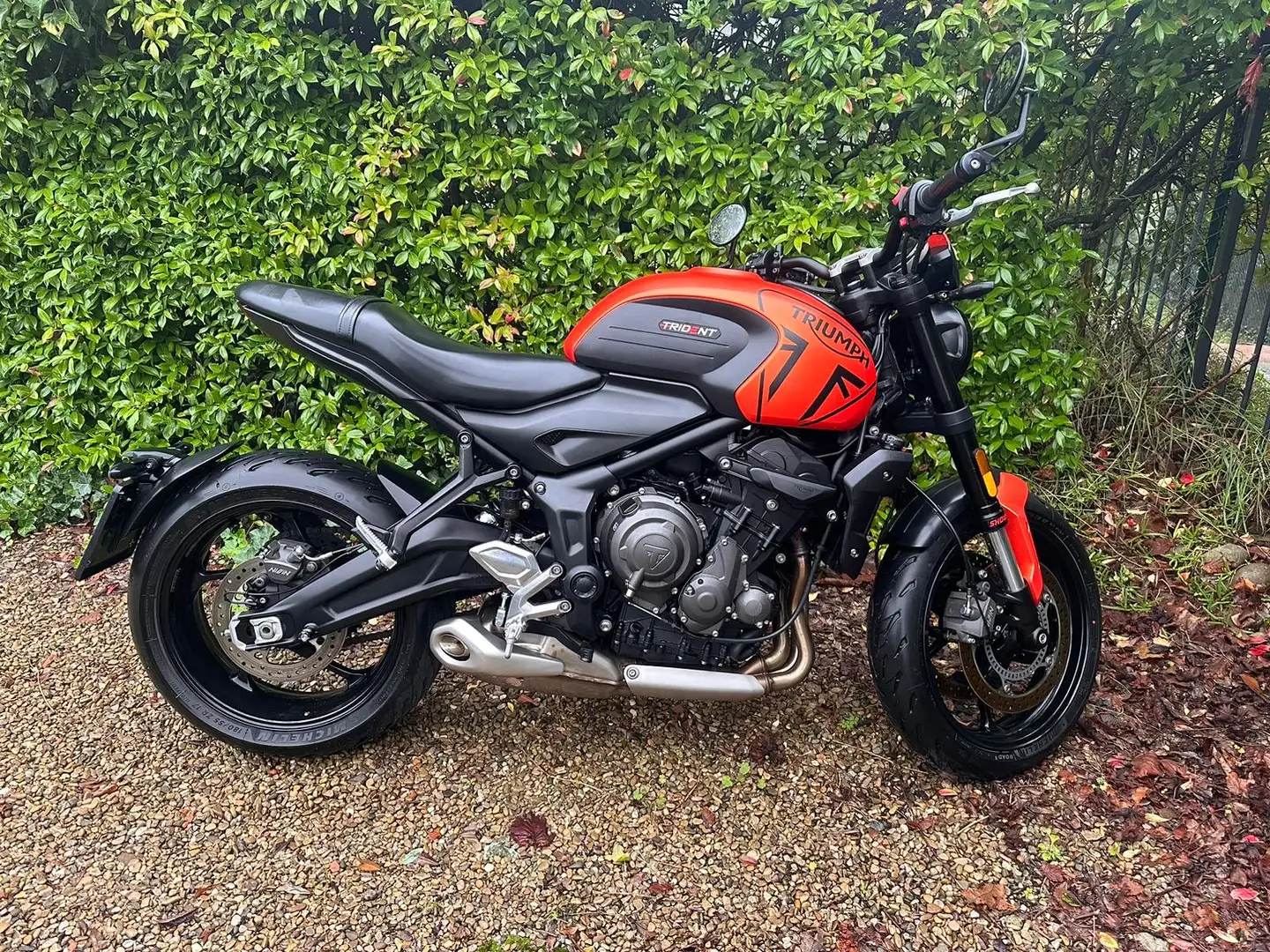 Triumph Trident 660 - 1
