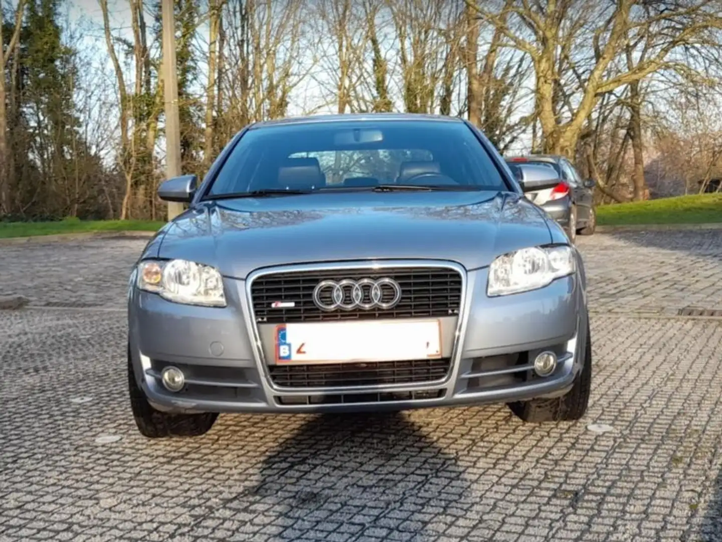 Audi A4 A4 1.9 TDi S line Argent - 2