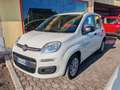 Fiat Panda Panda 1.2 Pop Bianco - thumbnail 1
