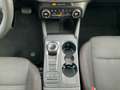 Ford Focus V 2022 - Focus 1.5 ecoblue ST-Line 120cv auto Grau - thumbnail 15
