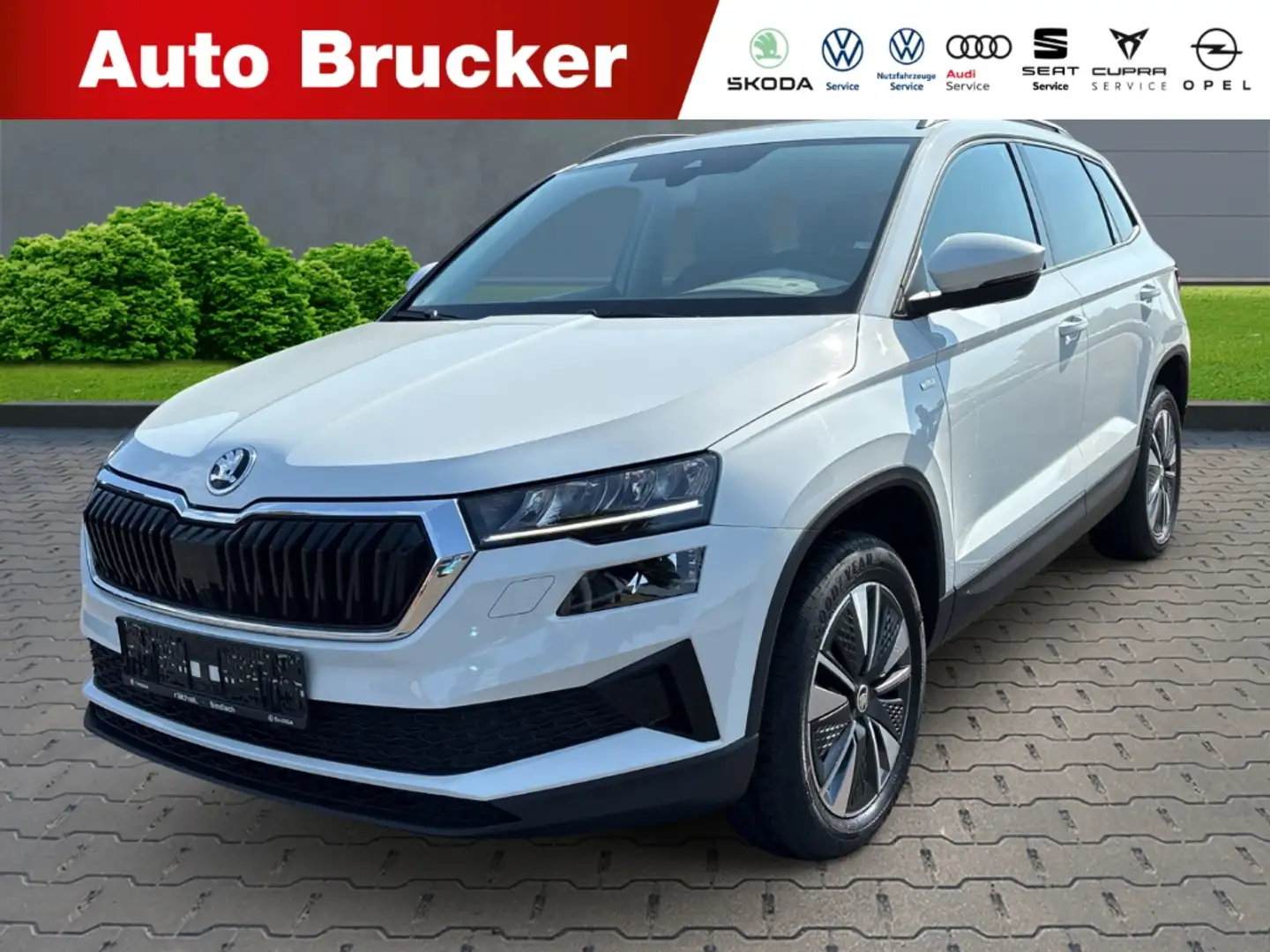 Skoda Karoq Tour 2.0 TDIAlufelgen+Navi+Klimaautomatik+Sitzheiz Alb - 1