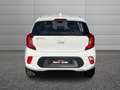 Kia Picanto Picanto 1.0 dpi Urban amt Bianco - thumbnail 11