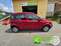 Fiat Panda Active Rood - thumbnail 6