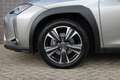 Lexus UX 250h Luxury Line / Carplay / Camera / Leer Gris - thumbnail 24