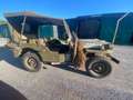 Jeep Willys militare Verde - thumbnail 7
