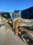 Jeep Willys militare Verde - thumbnail 10