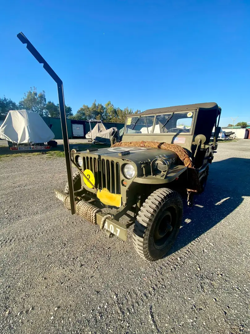 Jeep Willys militare Verde - 1
