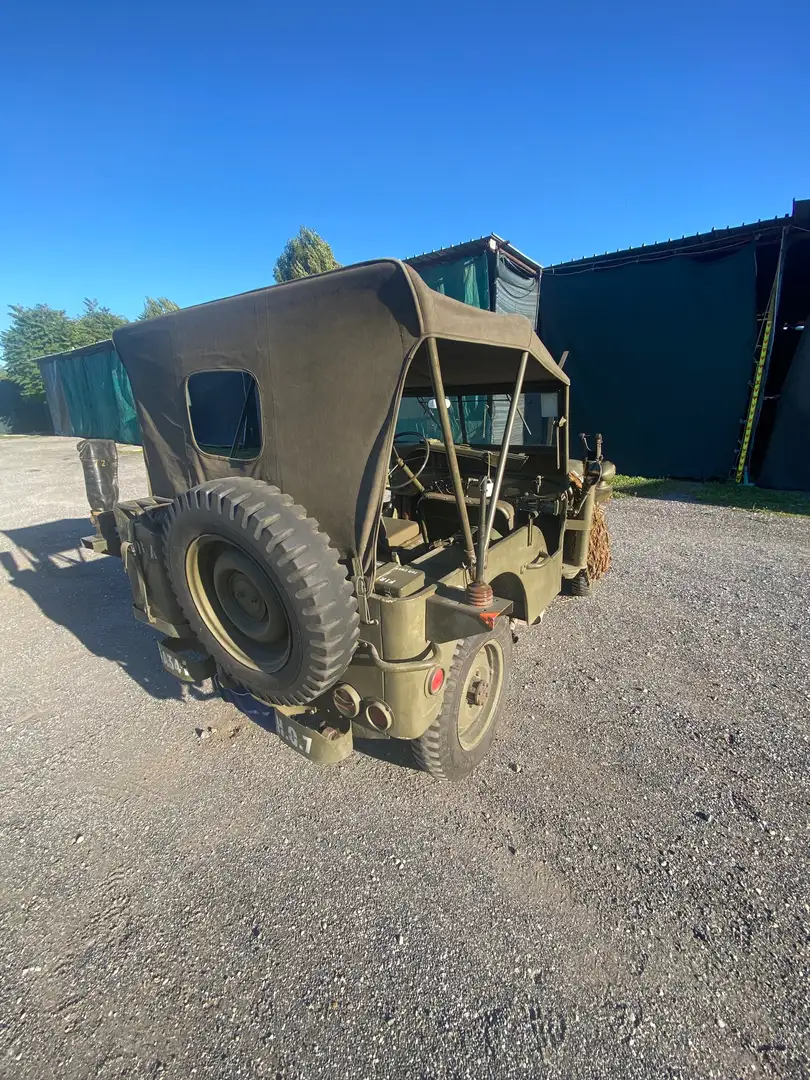 Jeep Willys militare Verde - 2