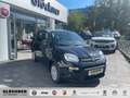 Fiat Panda Hybrid Schwarz - thumbnail 1