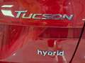 Hyundai TUCSON 1.6 CRDI 100kW (136CV) 48V N-Line X 4X2 Rot - thumbnail 20
