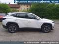 Hyundai TUCSON Facelift 160 PS SELECT+Design-Paket+Navigation+ LE Wit - thumbnail 9