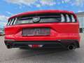 Ford Mustang 2,3 EcoBoost Rot - thumbnail 10