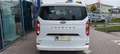 Ford Tourneo Custom Bus Titanium 340L1 2.5L PHEV 233 CVT FWD Weiß - thumbnail 5