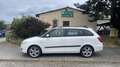 Skoda Fabia Sport Combi 2.Hand, Klima, Tempomat, Bianco - thumbnail 3