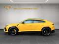 Lamborghini Urus Pano/Fond-TV/B&O/ACC/Softclose/Q-Citura/23" Gelb - thumbnail 7