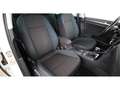 Volkswagen Golf VII 1.6 TDI Aut RADAR NAVI SITZHZG ASSIST Weiß - thumbnail 14