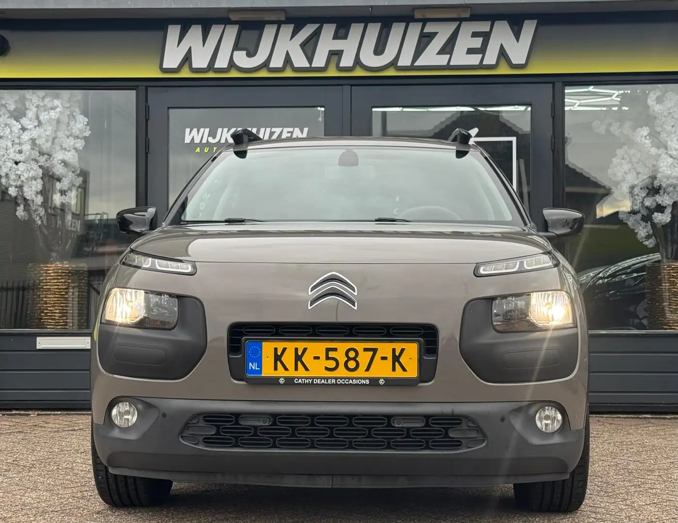 Citroen C4 Cactus 1.2 PureTech Business Plus met Panorama dak !!! Ne Bruin - 2
