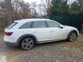 Audi A4 allroad A4 Allroad 2.0 tdi Busin Evol. 190cv s-tronic Alb - thumbnail 3