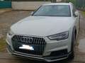 Audi A4 allroad A4 Allroad 2.0 tdi Busin Evol. 190cv s-tronic Alb - thumbnail 1