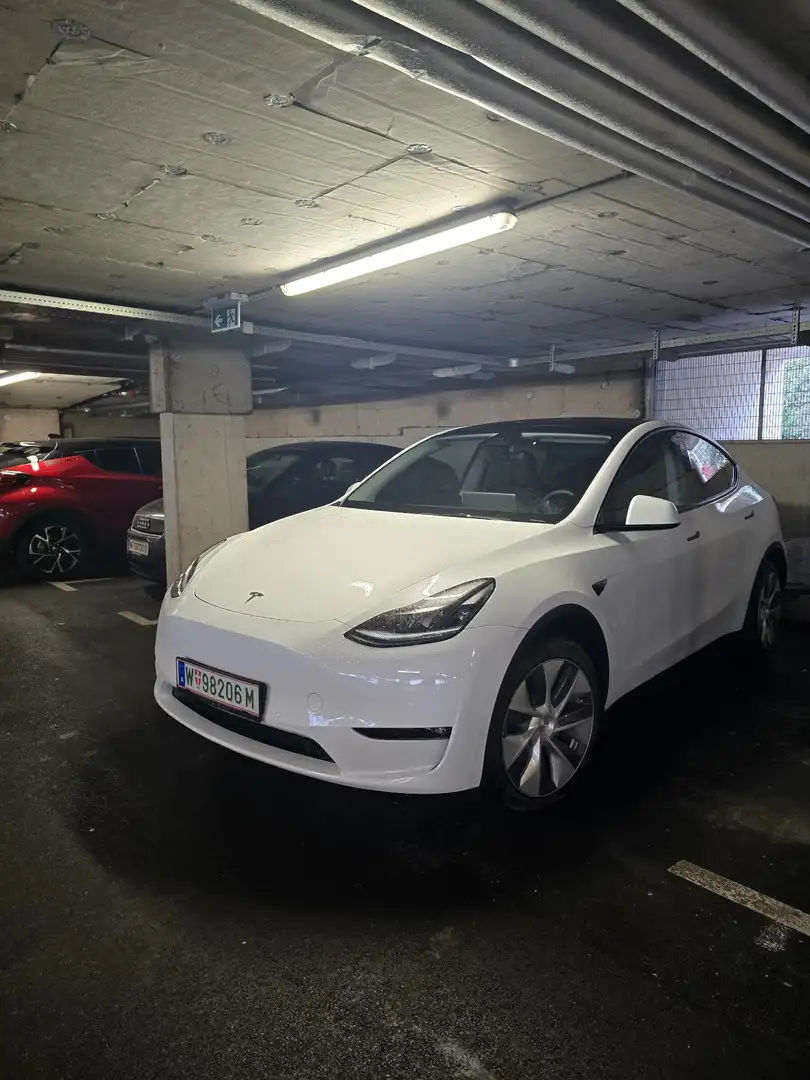 Tesla Model Y AWD - 1