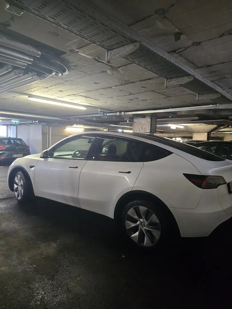 Tesla Model Y AWD - 2