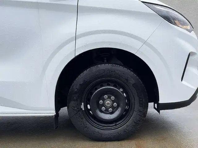 Ford Transit Custom view 9
