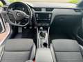 Skoda Octavia Combi RS TDI 135kw Xenon/Navi Blanc - thumbnail 10