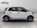 smart forFour II 2015 - Forfour 1.0 Youngster 71cv c/S.S. Bianco - thumbnail 5