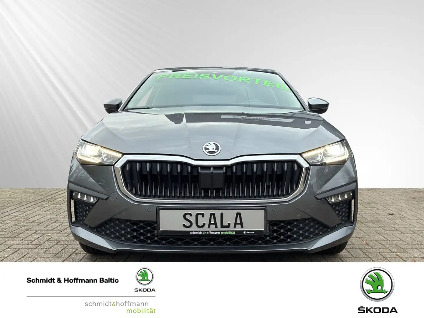 Skoda Scala Tour Navi Einparkhilfe Fenster el. Grijs - 2