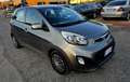 Kia Picanto 1.0 City Gpl 5p my13 - thumbnail 5