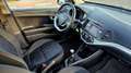 Kia Picanto 1.0 City Gpl 5p my13 - thumbnail 11